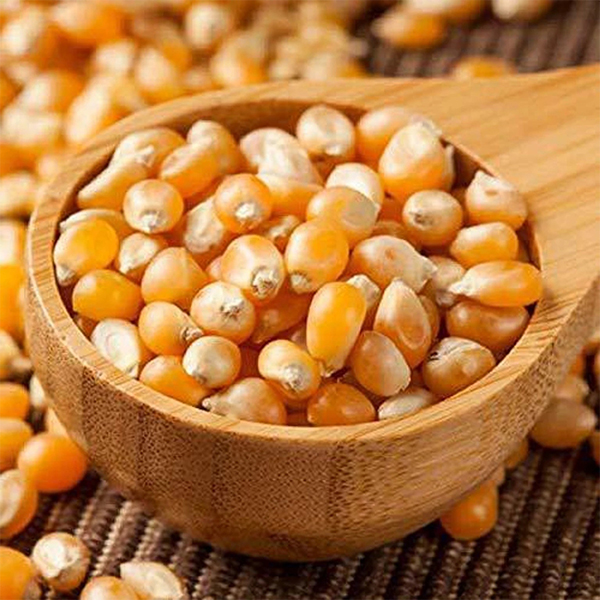 Makka Popcorn Dana 250g – Quality Corn Kernels for Homemade Popcorn