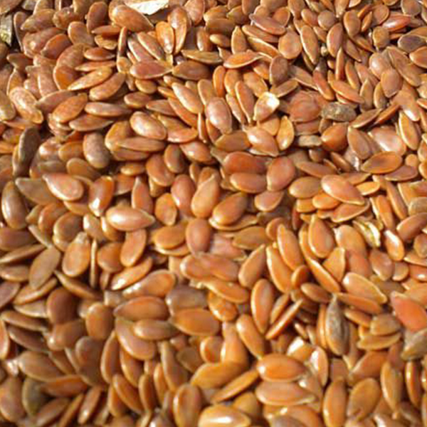 Bhojan Tisi - 500g - Image 2