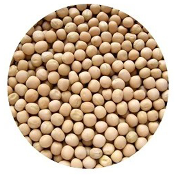Matar Peela 500g – Quality Yellow Peas for Cooking