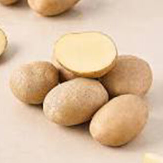 Fresh Aloo Potato for Everyday Cooking