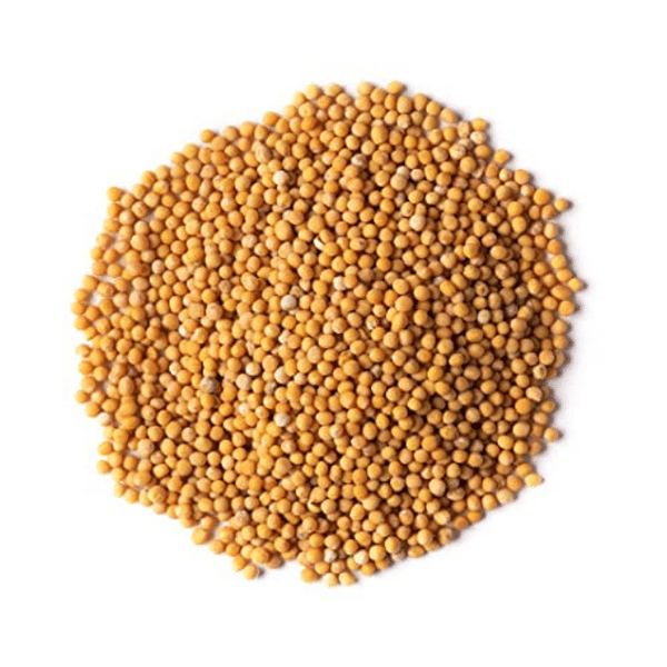 Sarso Yellow Sabut 100g