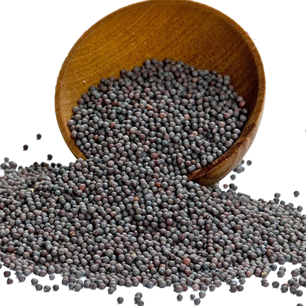 Sarso Black Sabut 250g