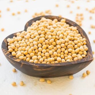 Bhojan Soyabean Dana 500g