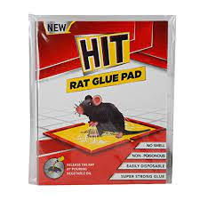 Hit Rat Glue Pad